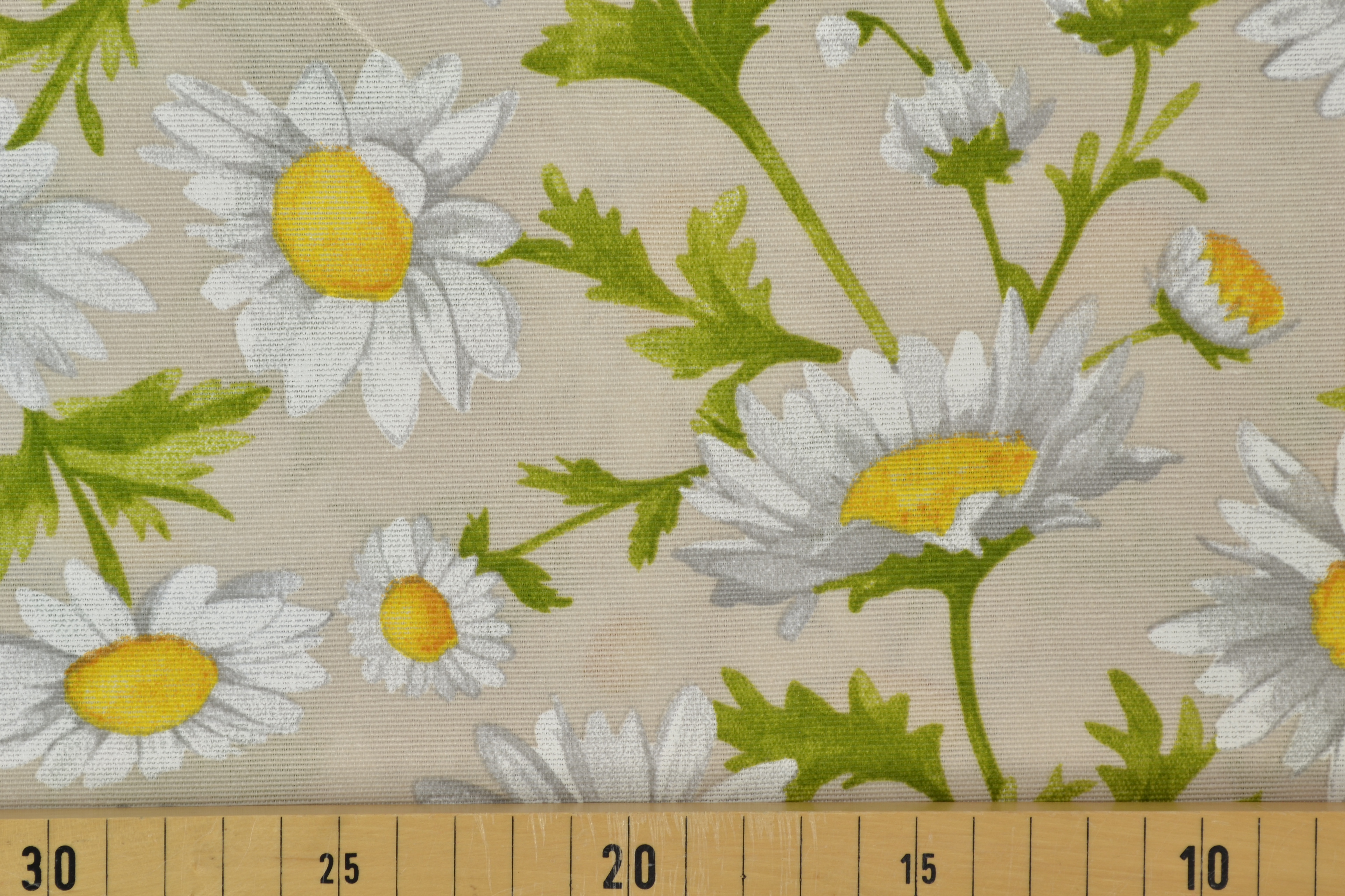 Canvas Deko Stoff Margeriten