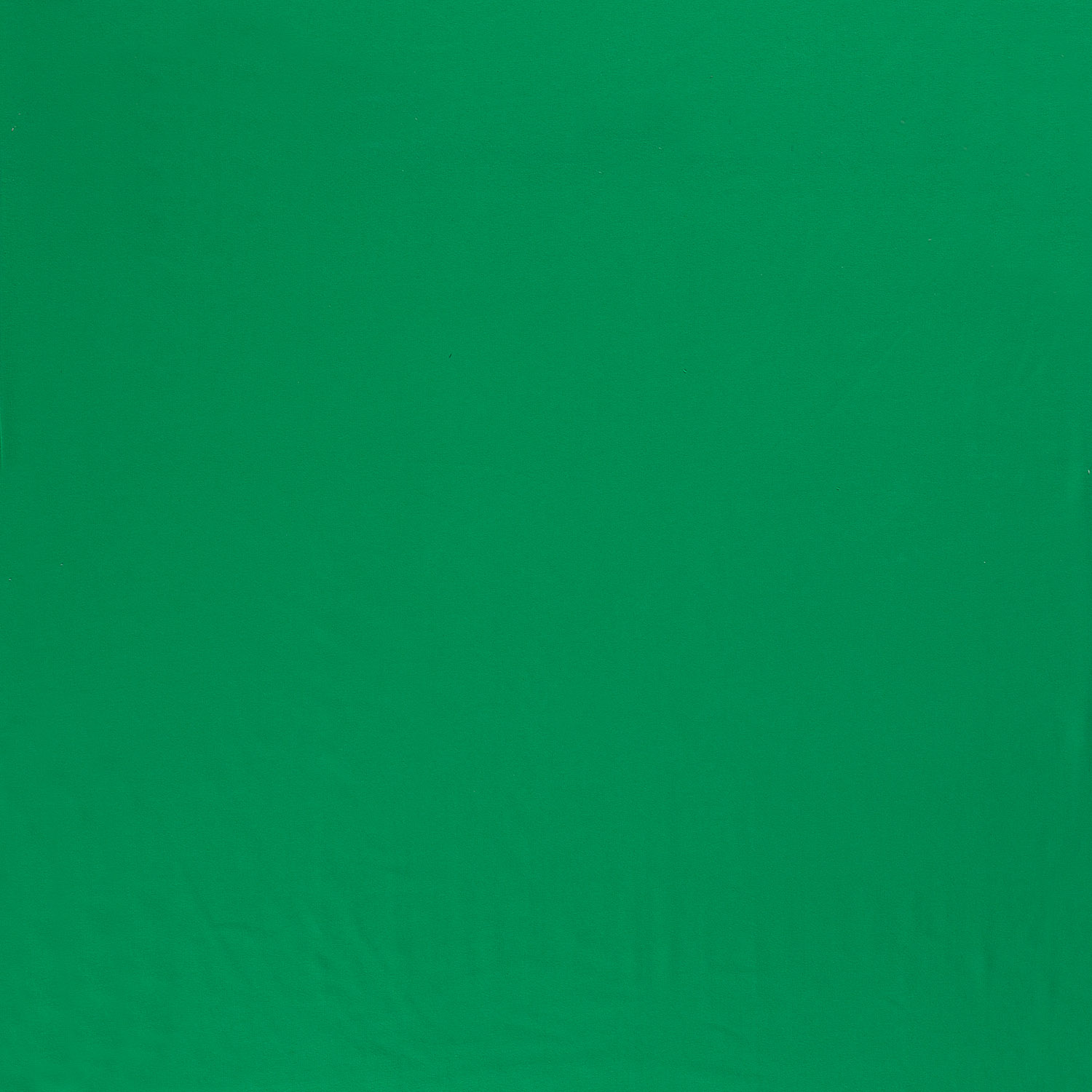 French Terry angeraut uni gelb