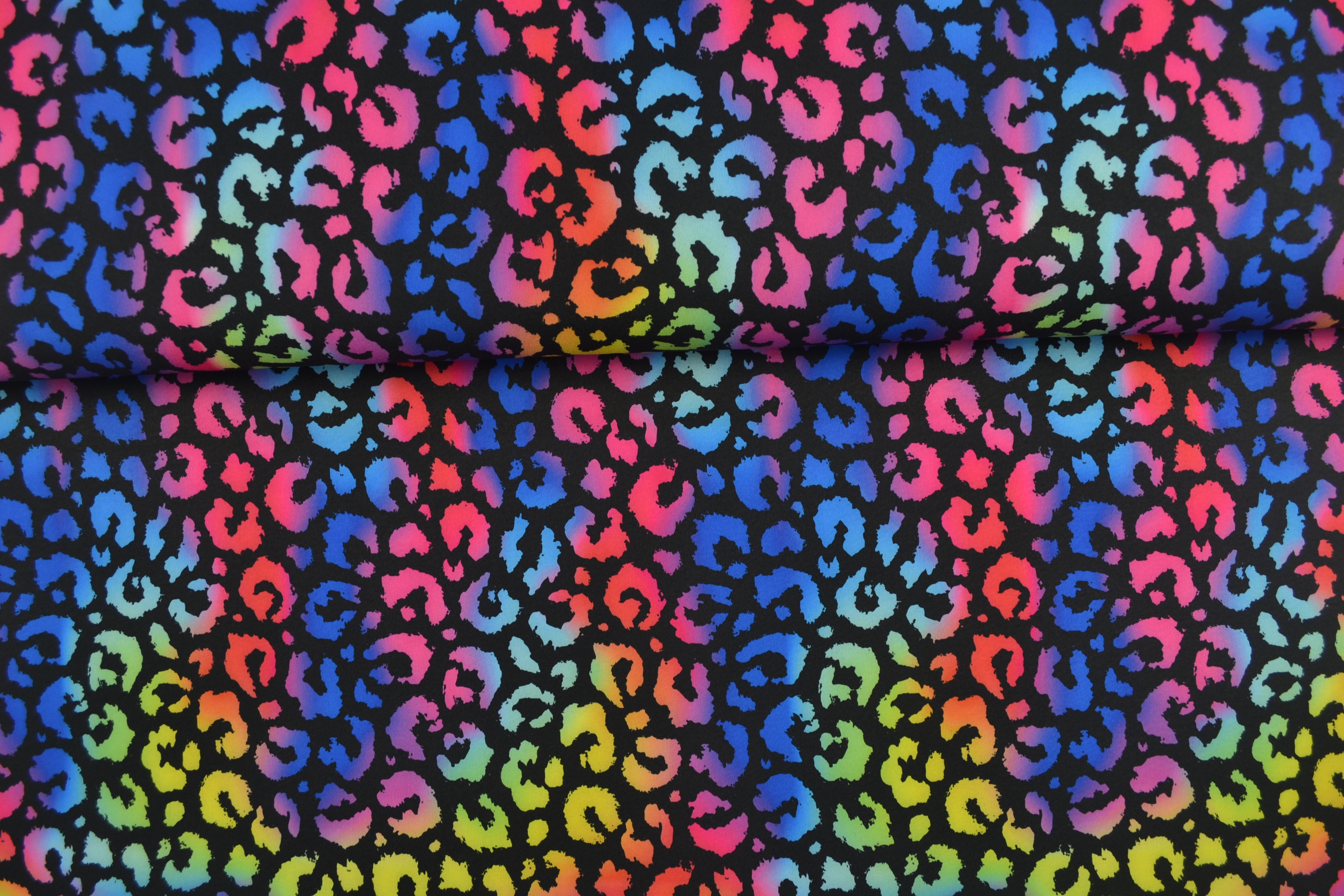 Softshell Rainbow Leo, schwarz