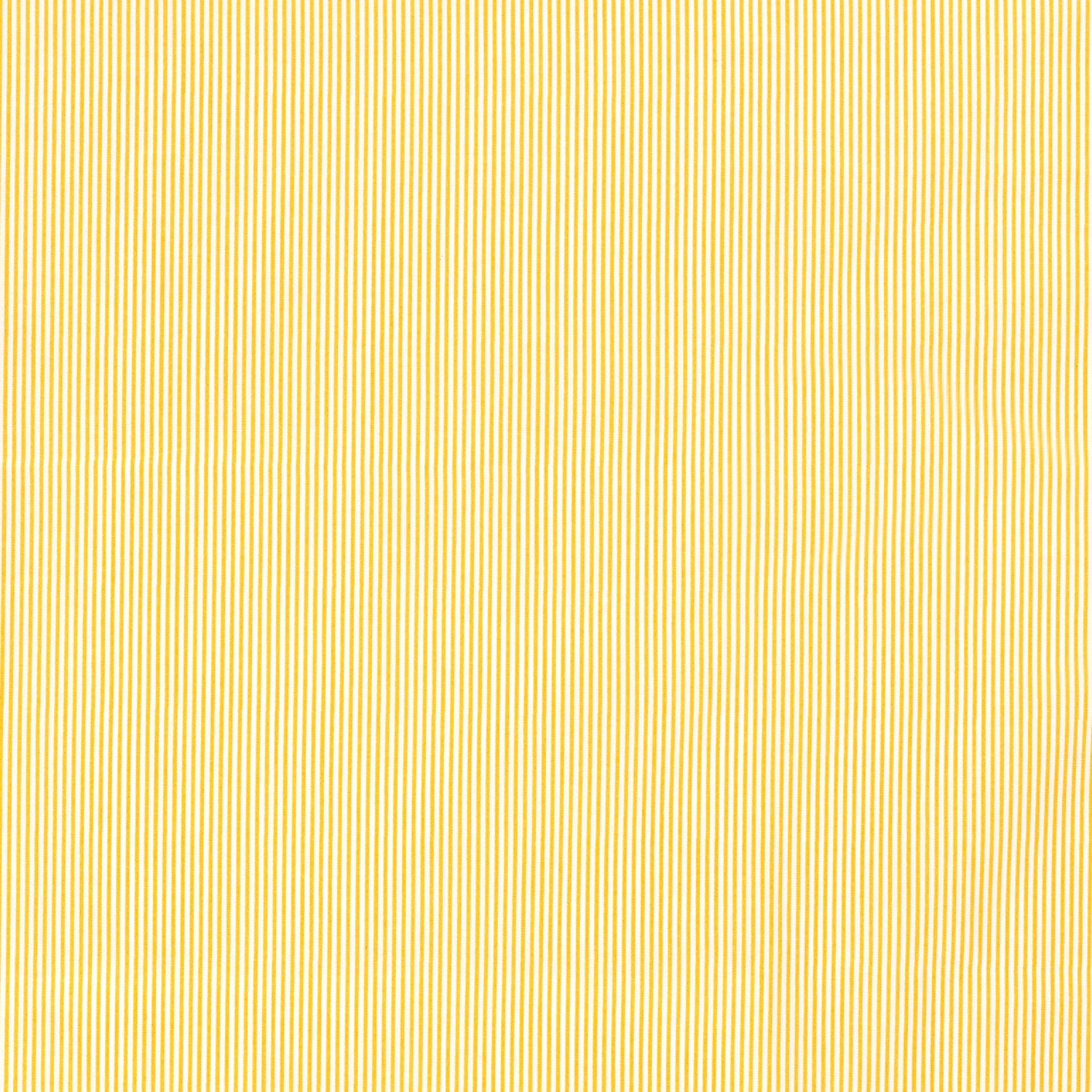 Baumwolle Popeline Stoff Bedruckt Streifen, gelb