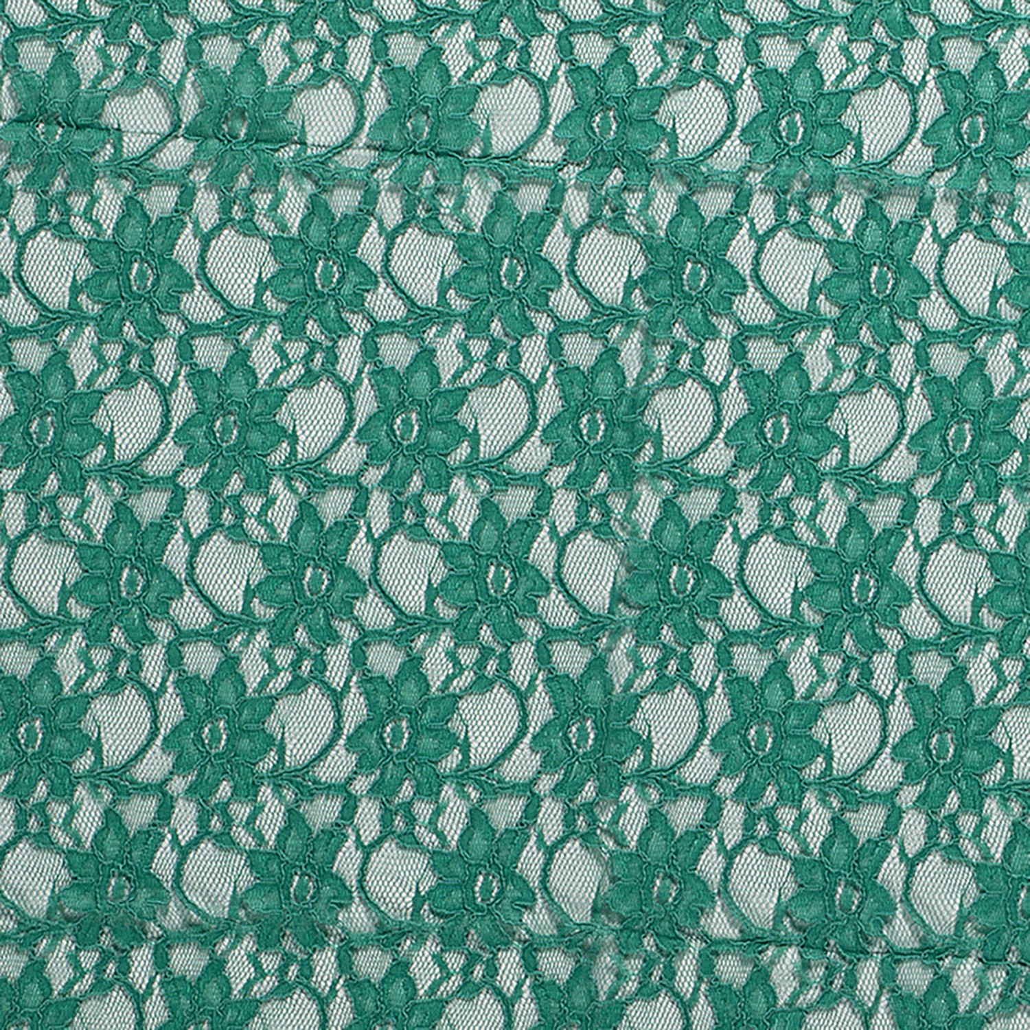 Spitze uni Tannengrün