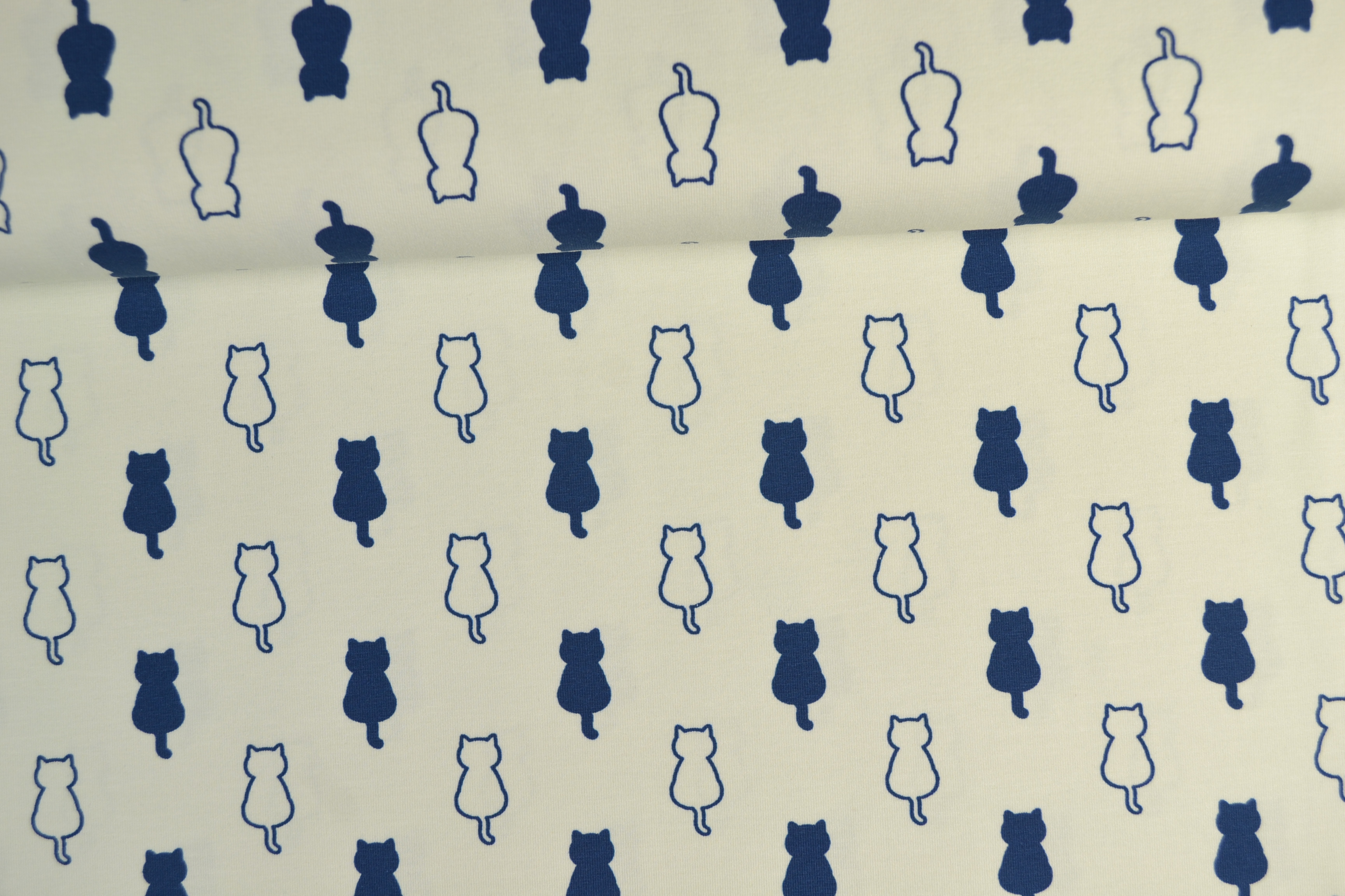 Baumwolljersey bedruckt, Katzen