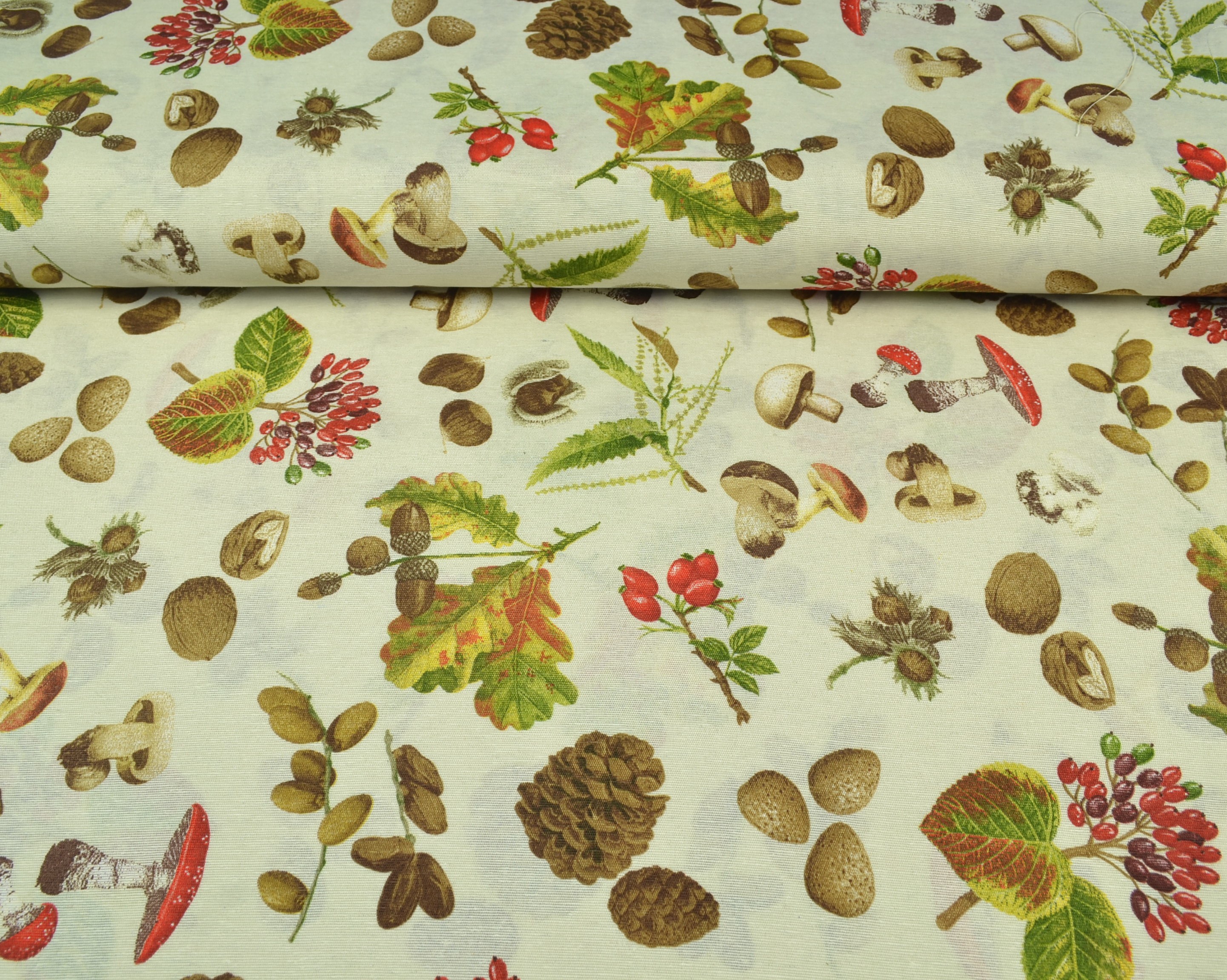 Canvas Deko Stoff Herbstwald