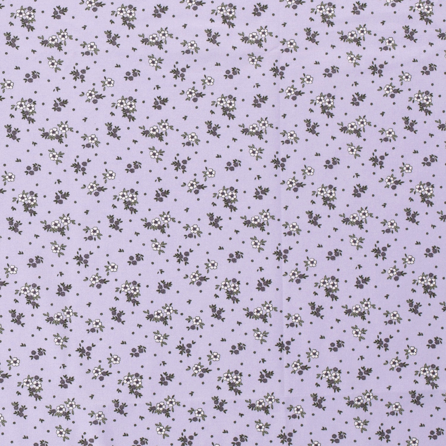 Baumwollstoff Popeline Blumen, lila