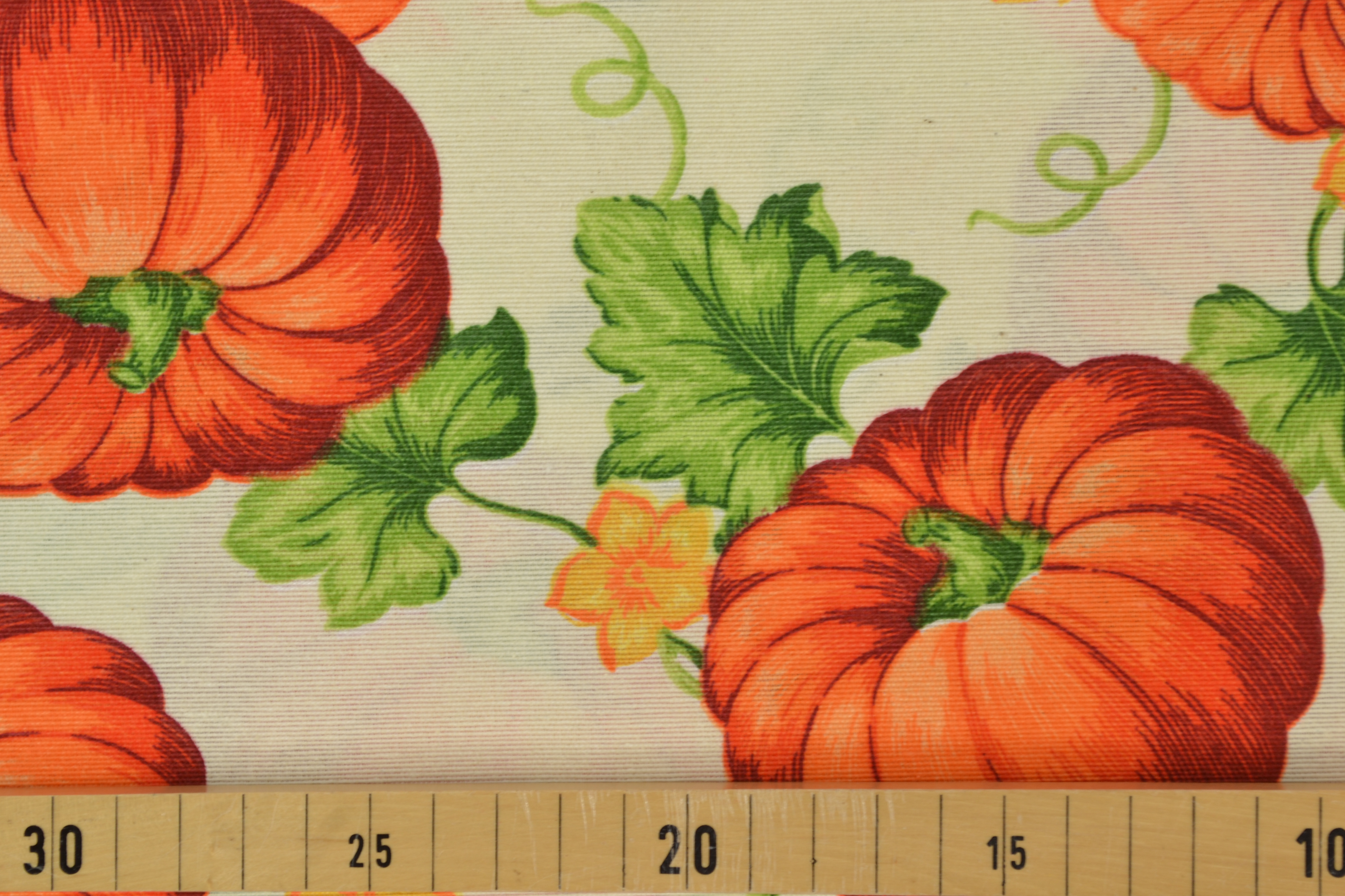 Canvas Deko Stoff Kürbisse