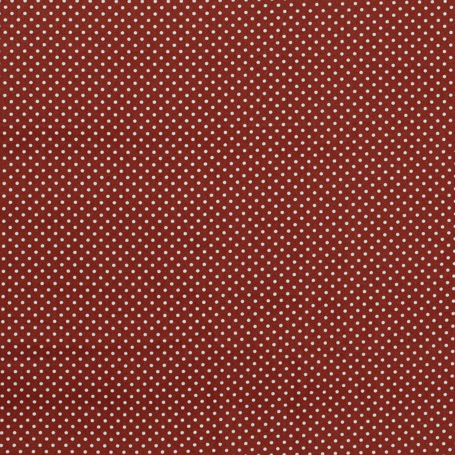 Baumwoll Popeline bedruckt Punkte, terra