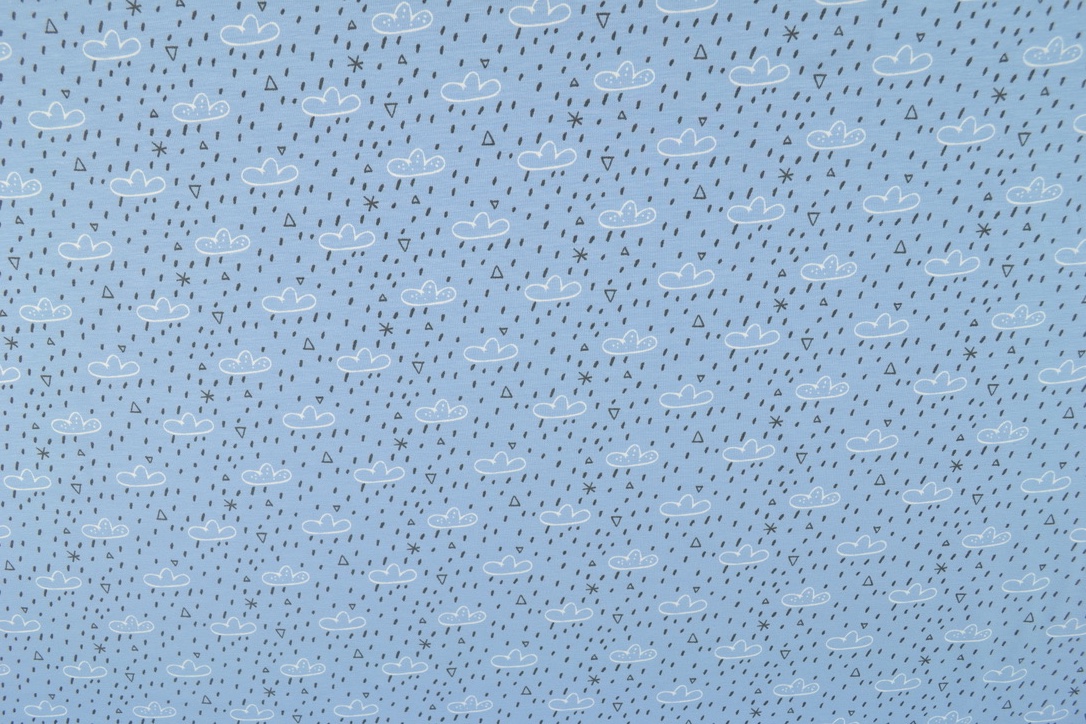 Organic Baumwoll Jersey Druck, Regenwolken blau