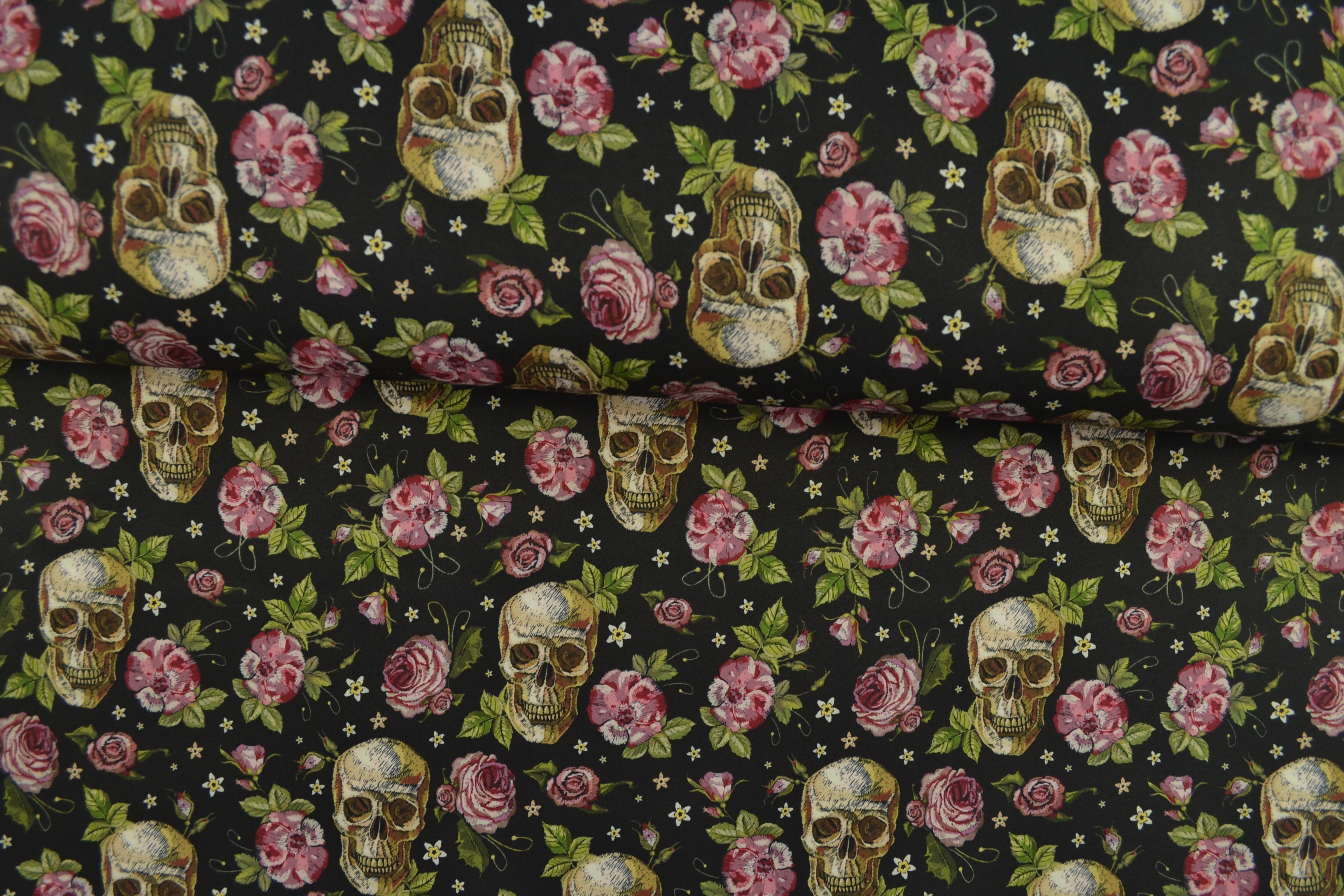 Softshell Totenköpfe