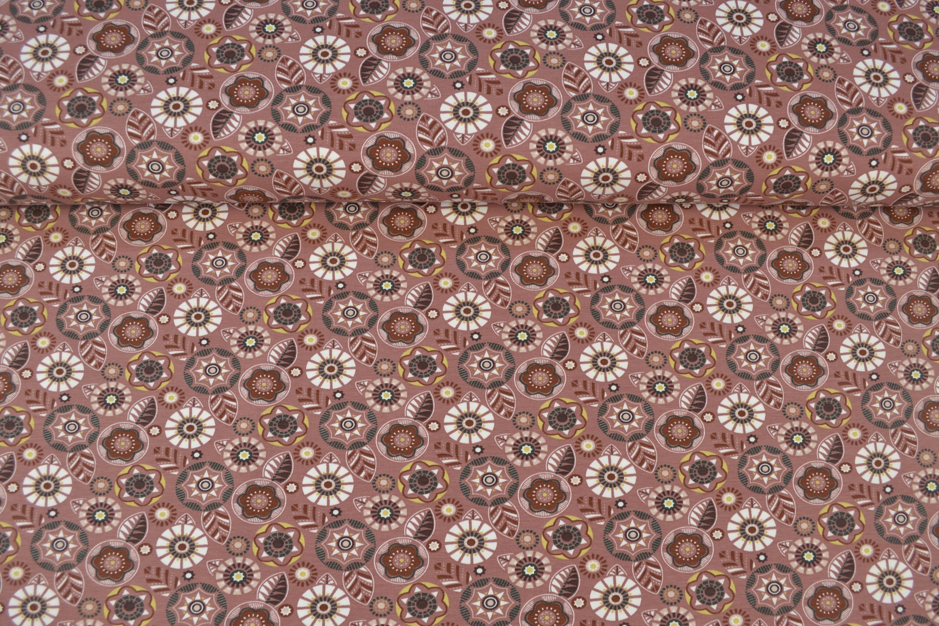 Bio Baumwolljersey bedruckt Blumenornamente