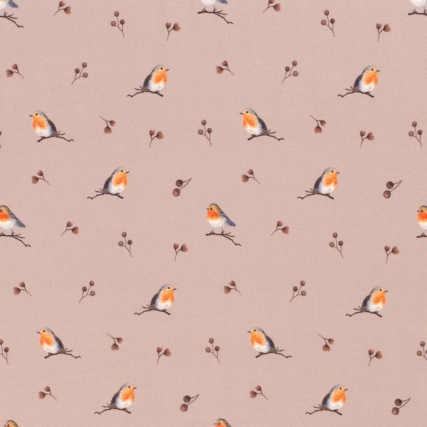 Baumwolljersey Digitaldruck, Rotkehlchen