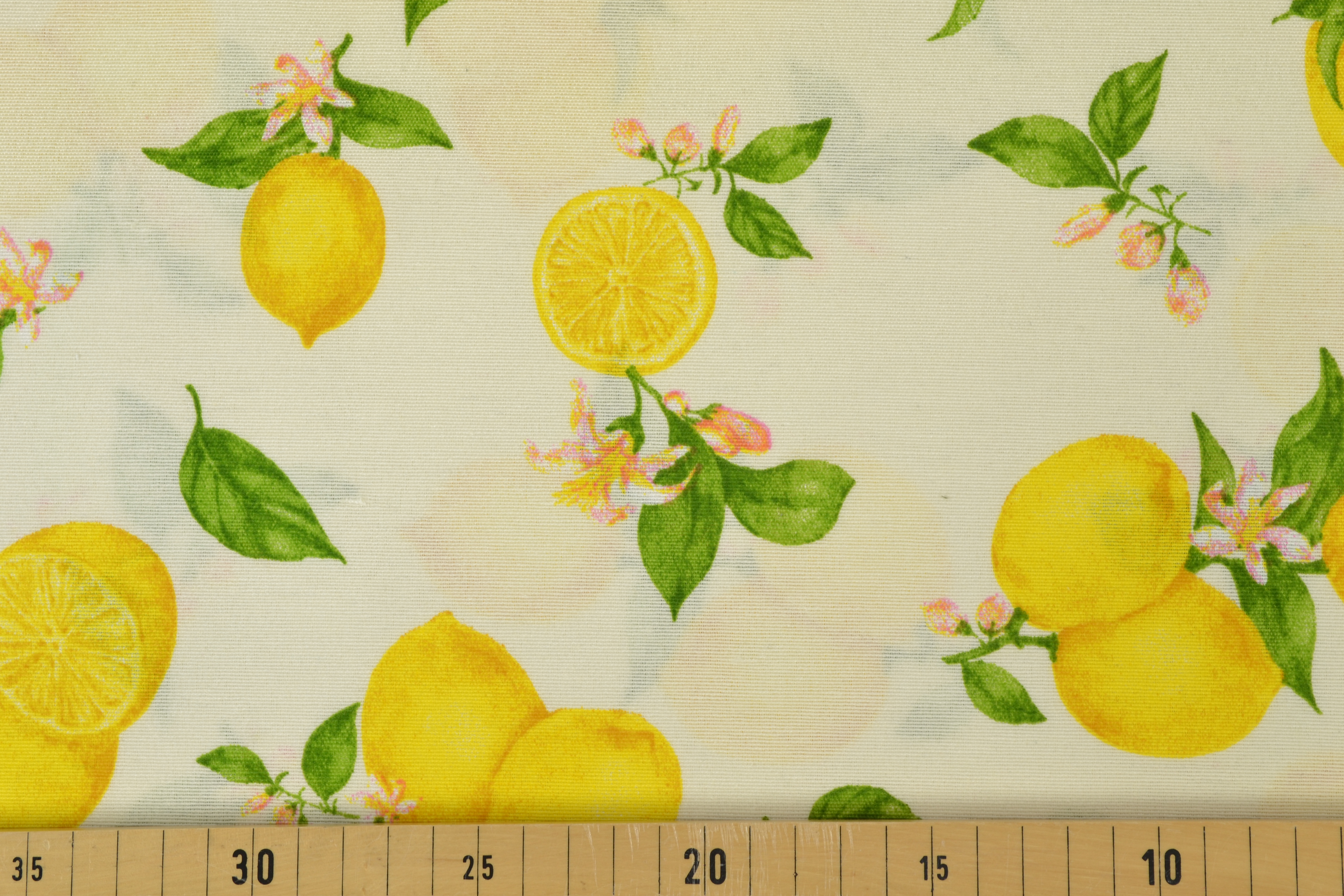 Canvas Deko Stoff Zitronen