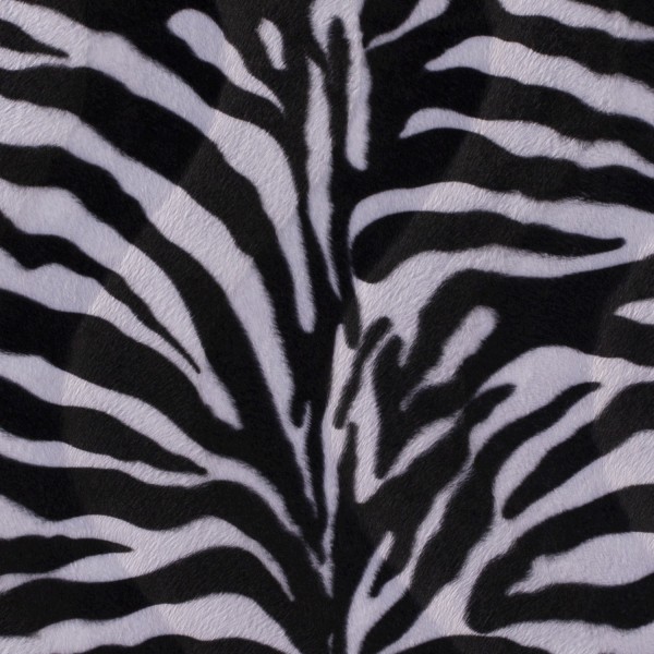 Velour bedruckt zebras weiß