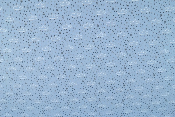 Organic Baumwoll Jersey Druck, Regenwolken blau