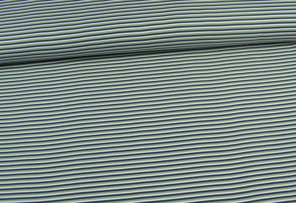 Baumwolljersey gemustert Streifen, grün/ blau