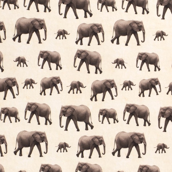 Baumwolljersey Digital Bedruckt Elefanten, wollweiß